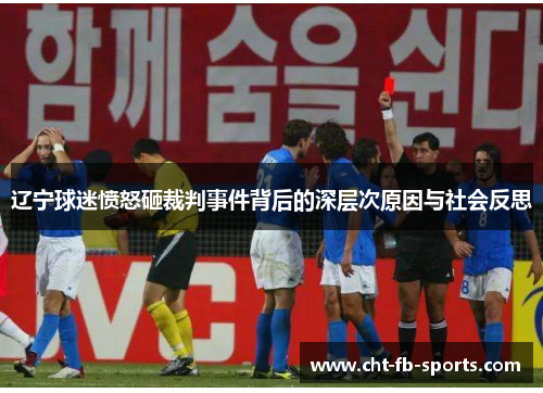 辽宁球迷愤怒砸裁判事件背后的深层次原因与社会反思 辽宁球迷愤怒砸裁判事件背后的深层次原因与社会反思